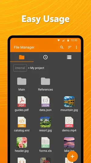 Simple File Manager Pro